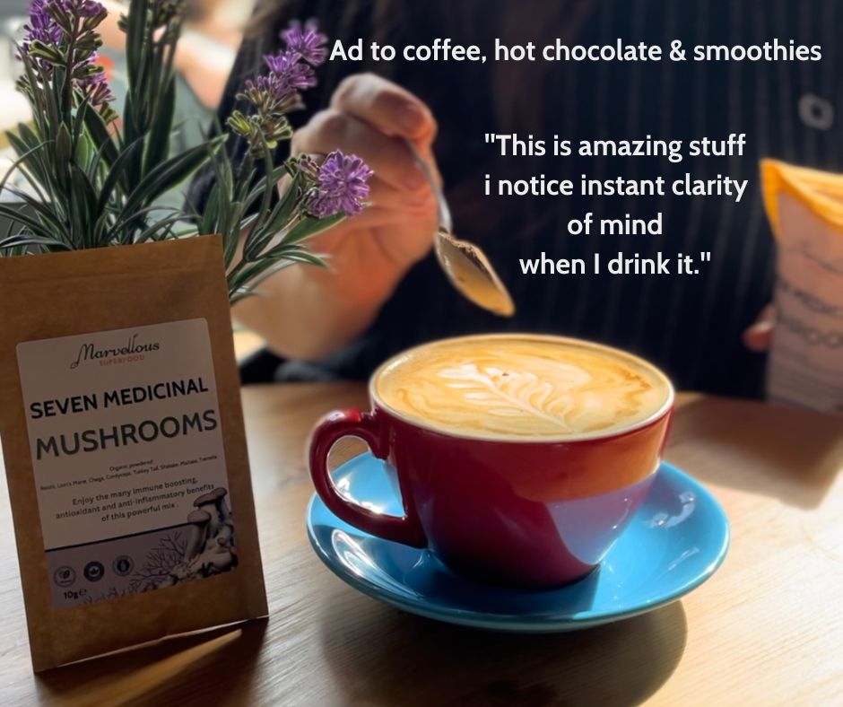 Marvellous Superfood — Organic 7 Mushroom Blend