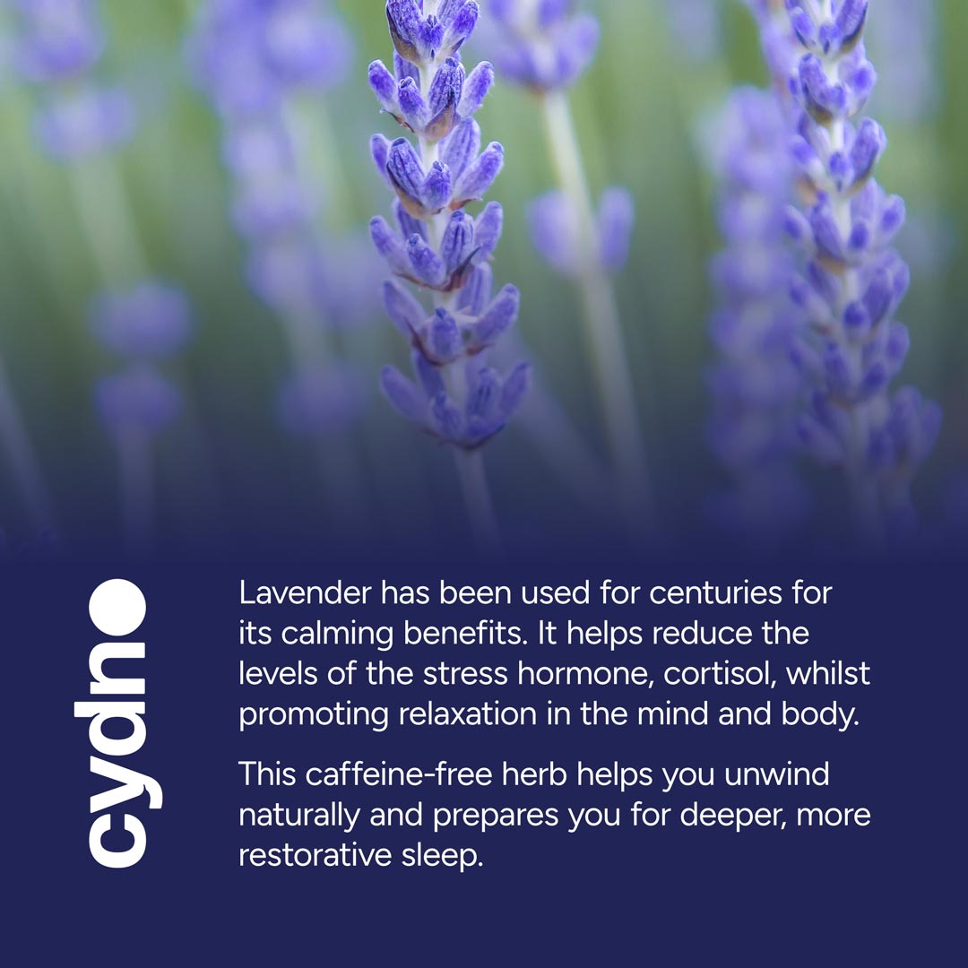 Cydno - Lavender Tea