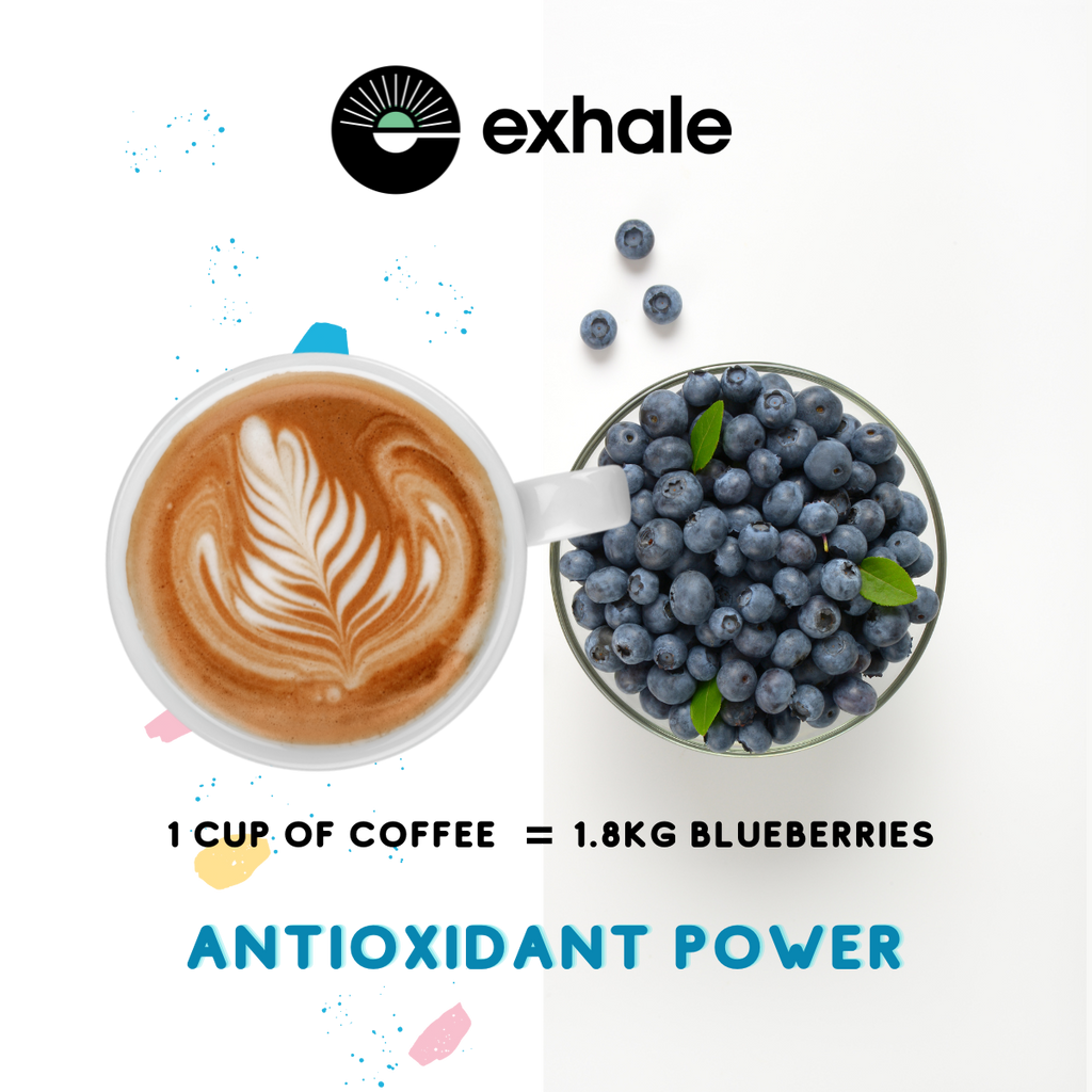 Exhale Organic Coffee — House Roast (Flagship)