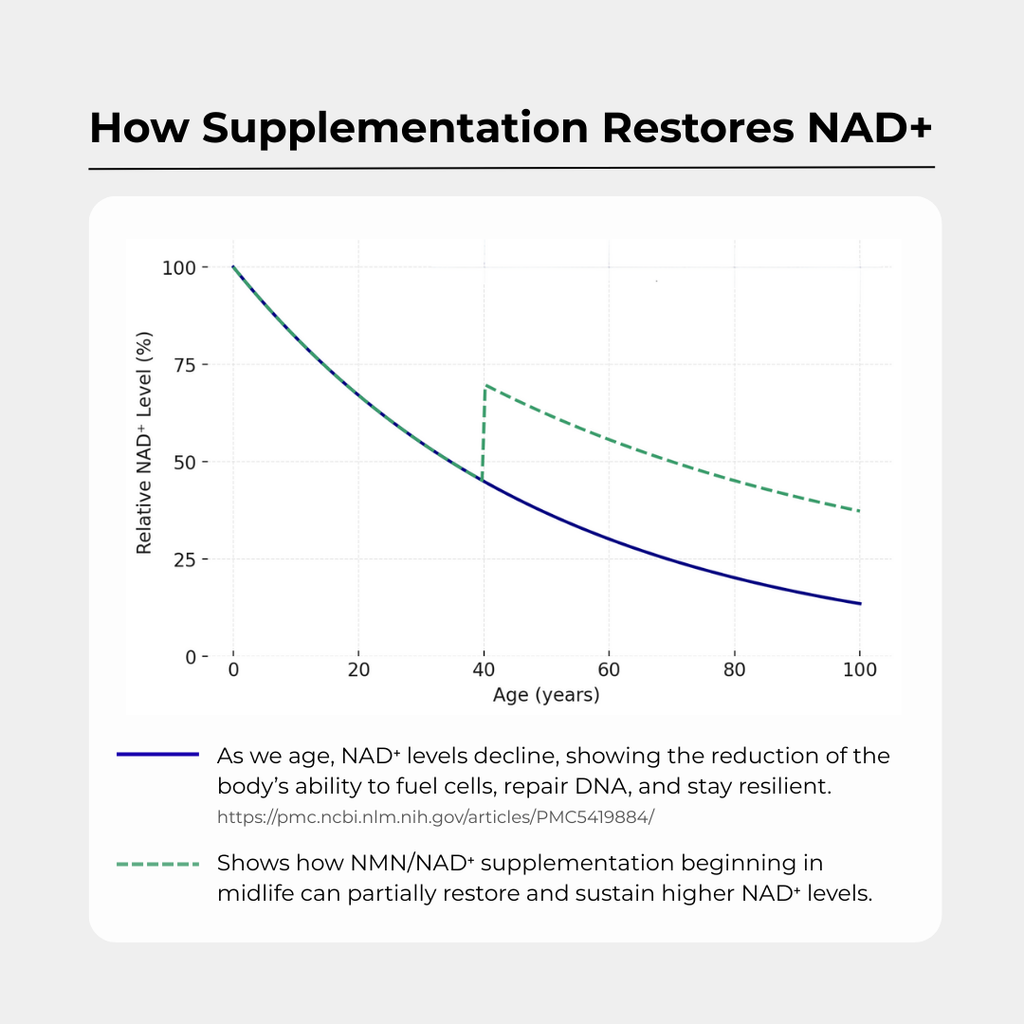 Charava UK — NAD+ 500mg Capsules