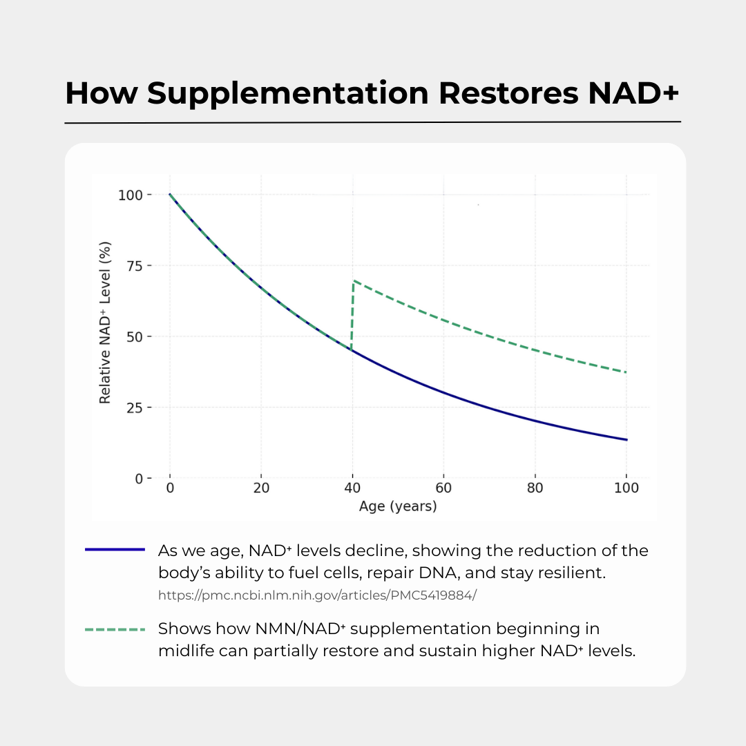 Charava UK — NAD+ 500mg Capsules