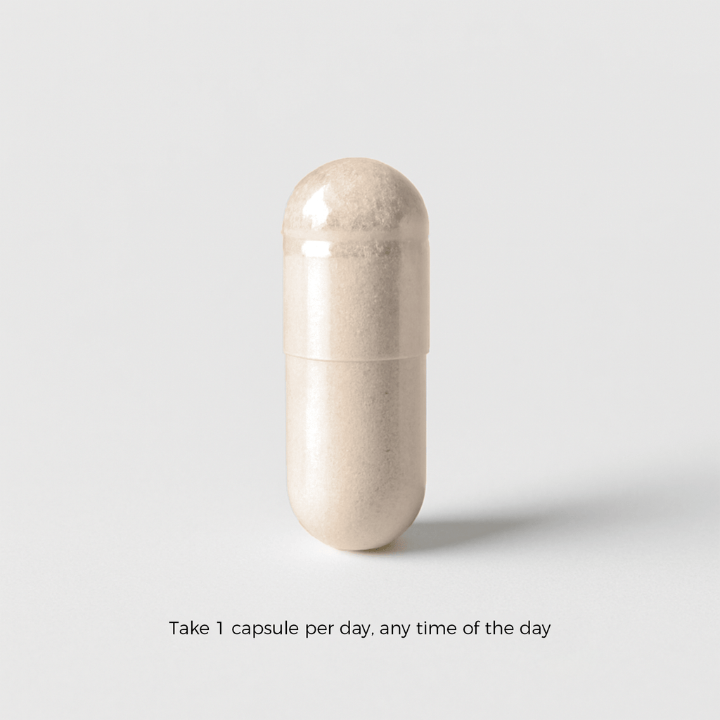 Charava UK — KSM-66® Ashwagandha (Withania somnifera) Capsules