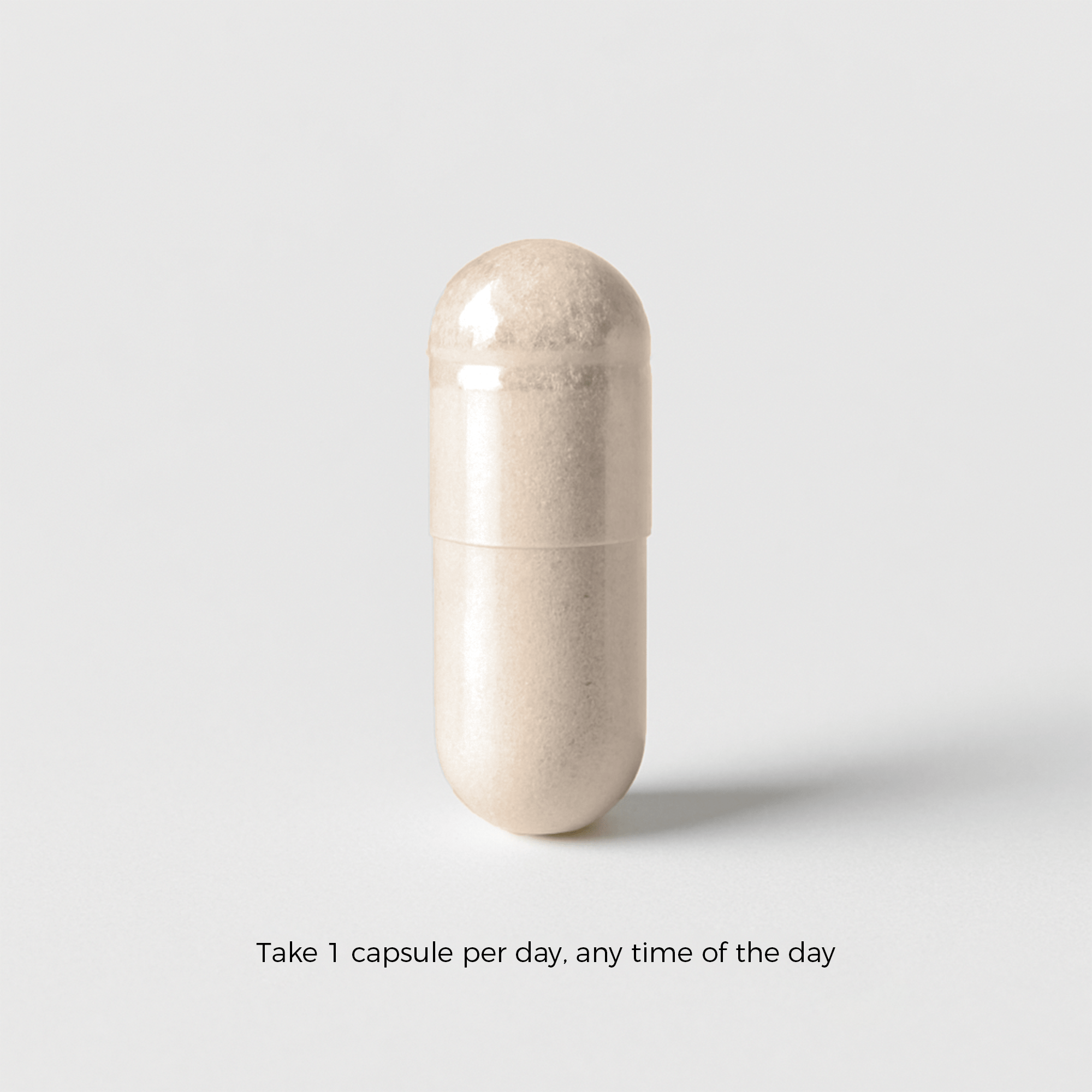 Charava UK — KSM-66® Ashwagandha (Withania somnifera) Capsules