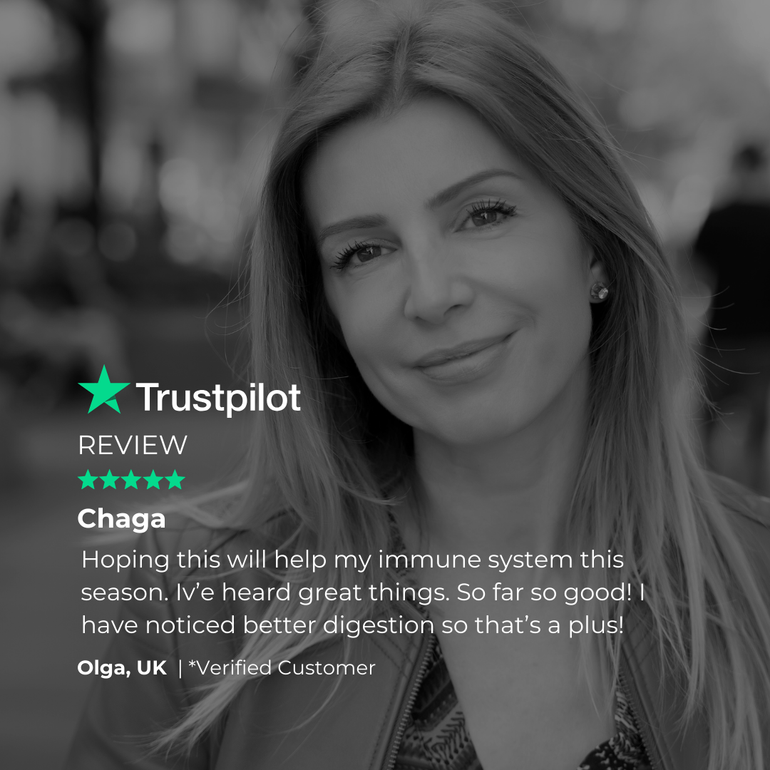 Charava UK — Chaga 500mg (Inonotus obliquus) Capsules