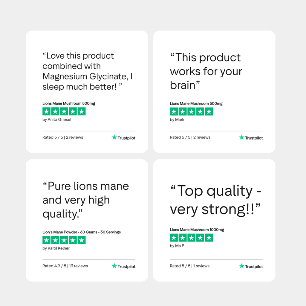 Charava UK — Lion’s Mane Powder (Hericium erinaceus)