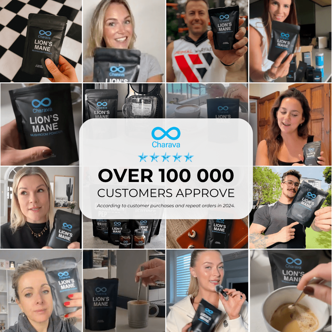 Charava UK — Lion’s Mane Powder (Hericium erinaceus)