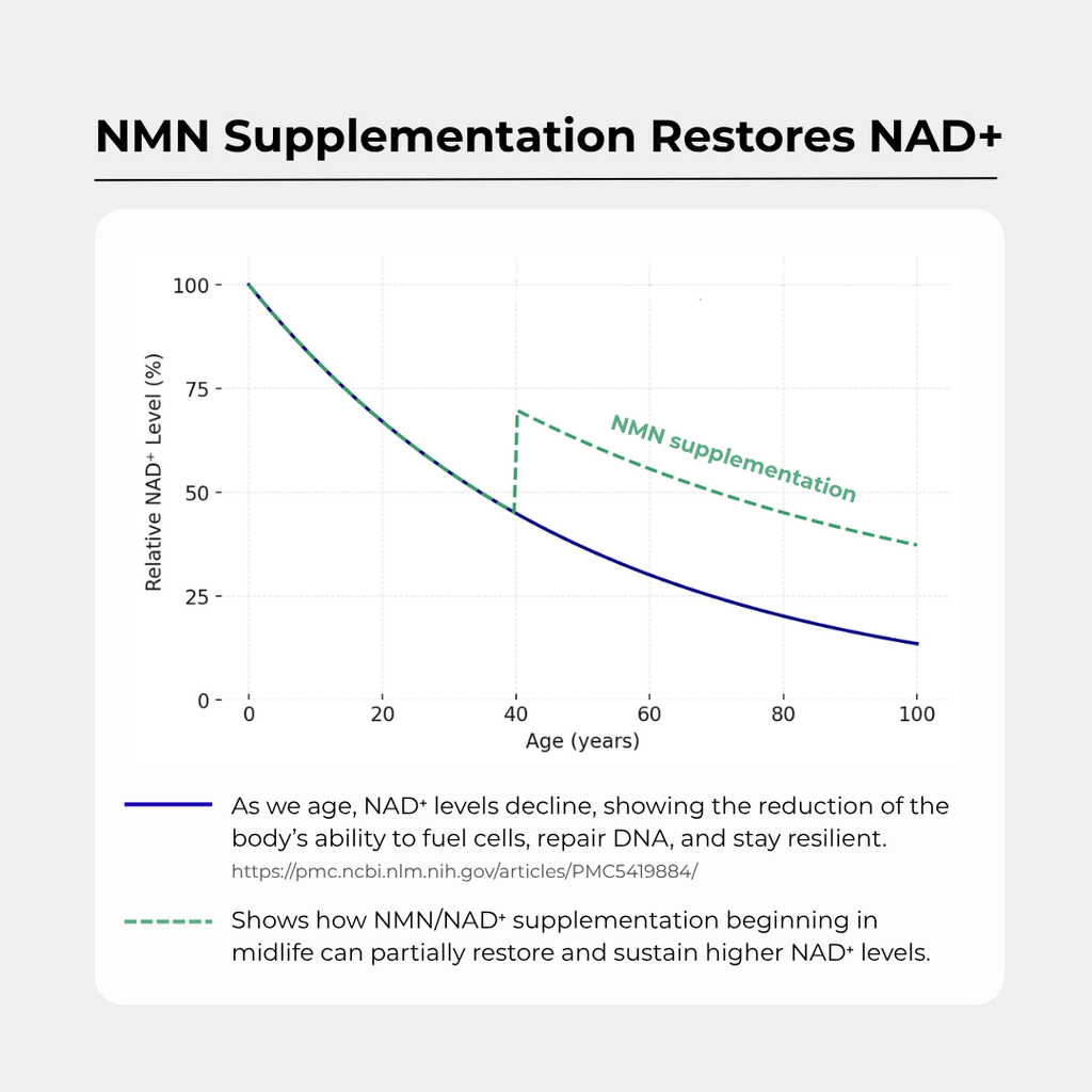 Charava UK — NMN (Nicotinamide Mononucleotide)